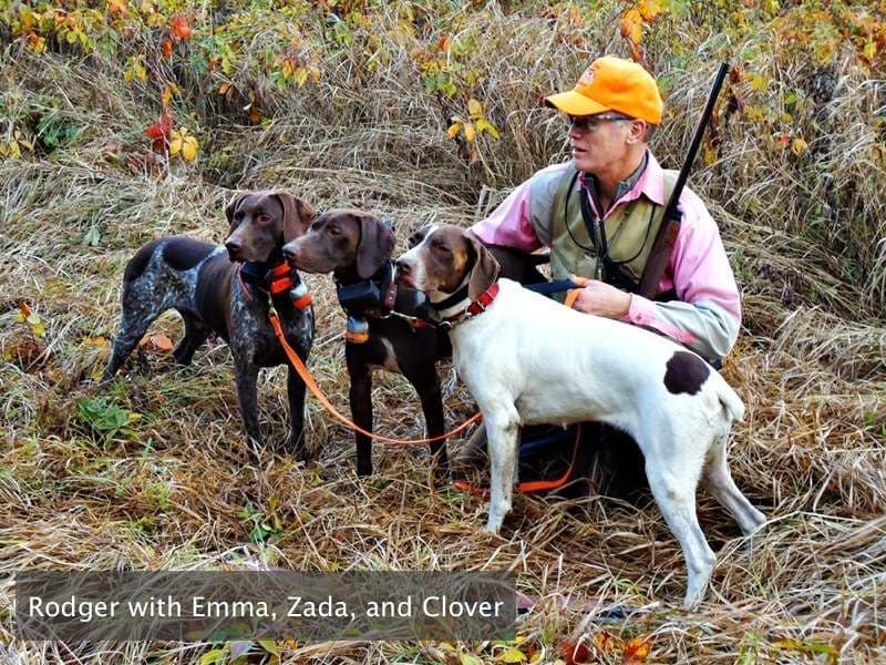 Photo Gallery Gun Dog Kennels